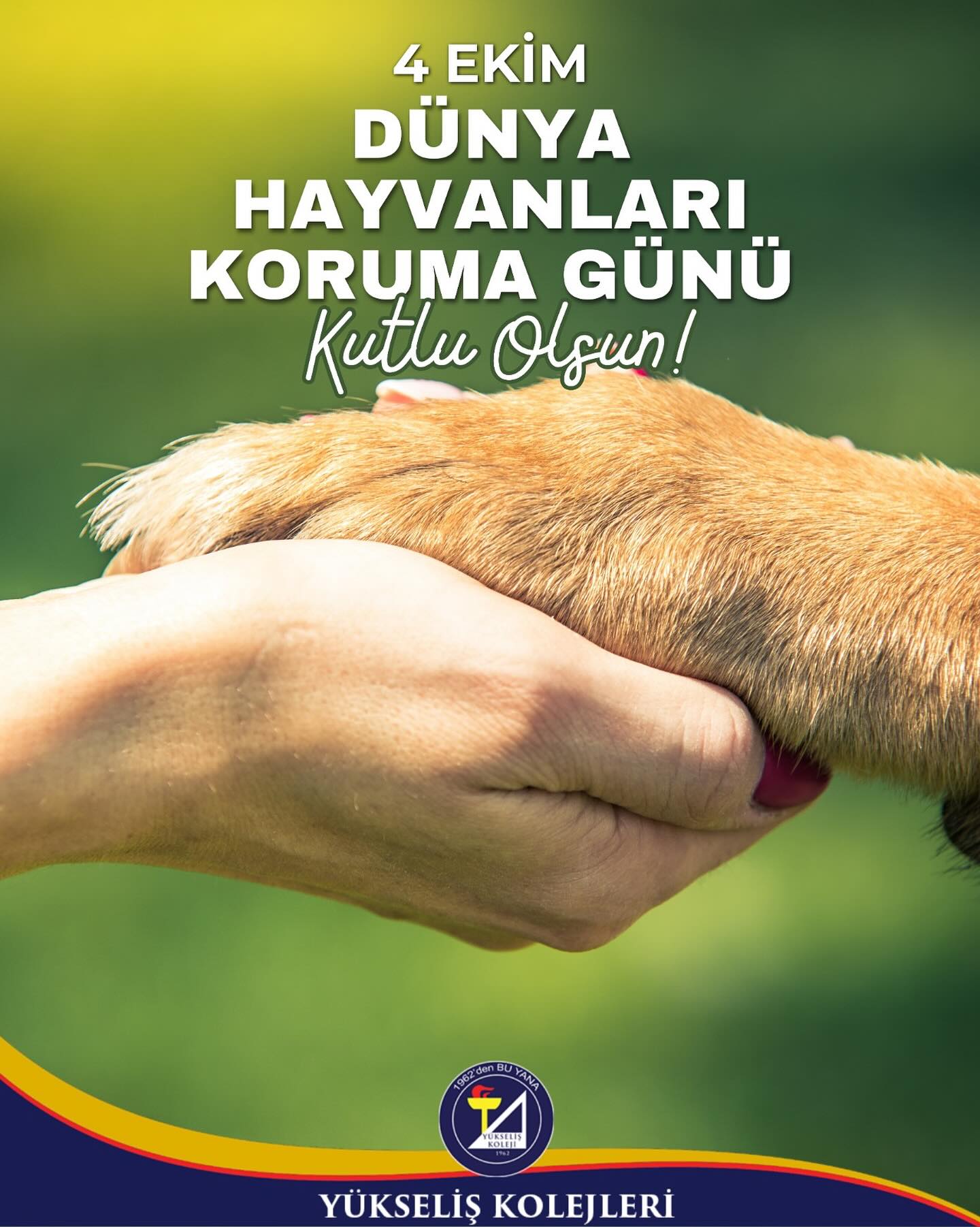 4 Ekim Dünya Hayvan Hakları Günü Kutlu Olsun !