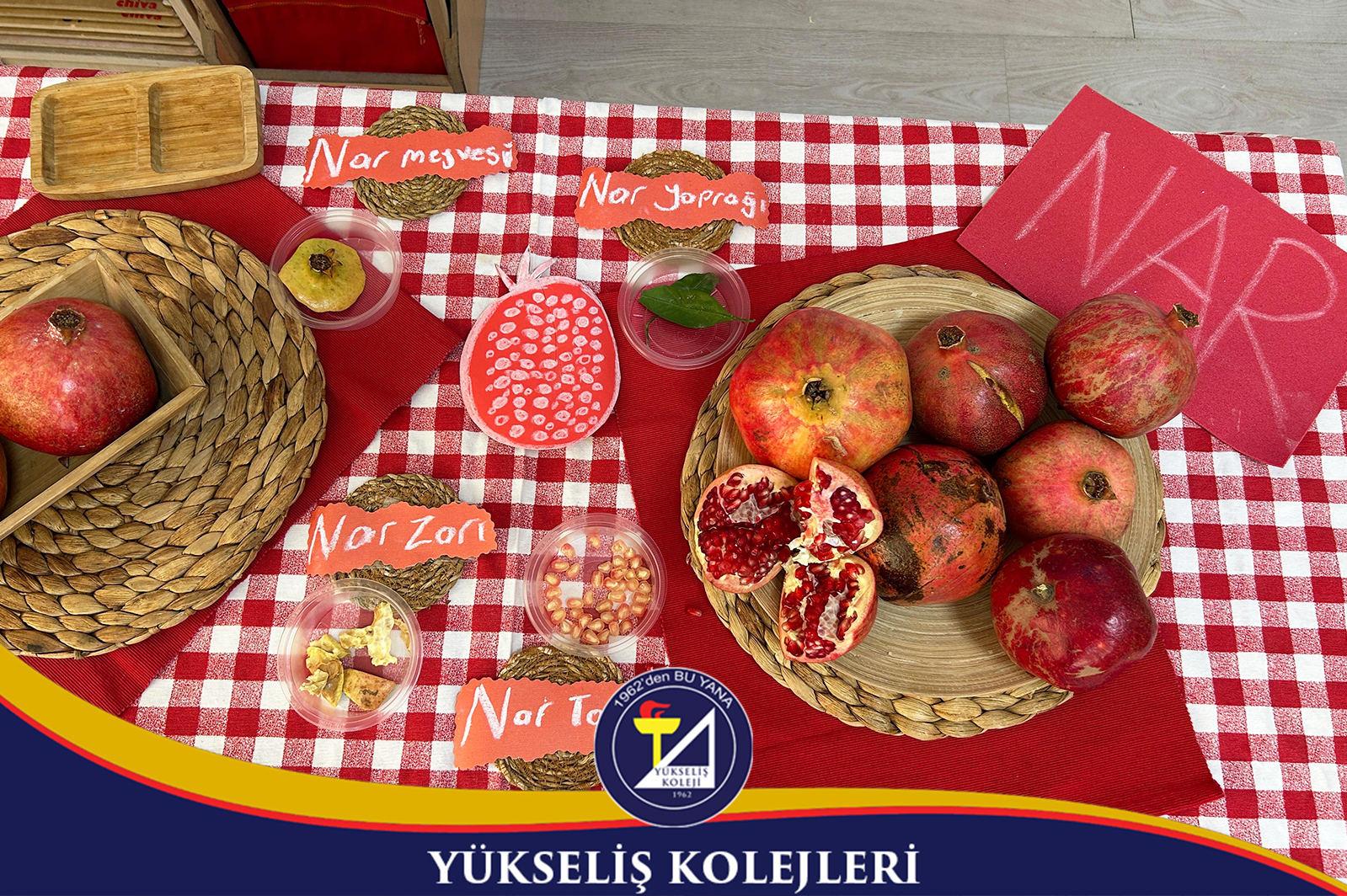 Yükseliş Koleji Anasınıfı öğrencilerimiz “Vitaminikler” projesine büyük bir merak ve heyecanla başladı! 🍎